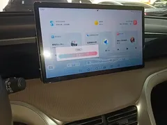 2023 BYD Song Pro DM-i PHEV 110KM Champion, синий — фото 13