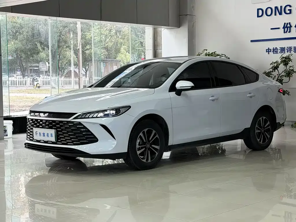 2026 BYD Qin PLUS DM-i PHEV 210km Progressive