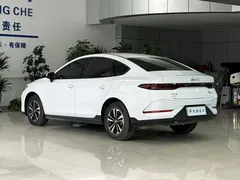2026 BYD Qin PLUS DM-i PHEV 210km Progressive, белый — фото 17