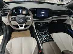 2024 BYD Qin PLUS Honor DM-i PHEV 55km Leading — фото 10