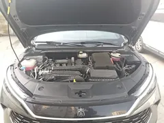 2024 BYD Qin L PHEV 120km Leading — фото 21