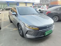 2023 BYD Destroyer 05 Champion DM-i PHEV 55km Luxury — фото 4