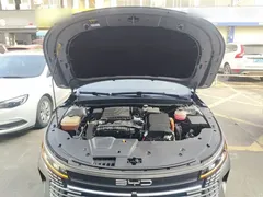 2023 BYD Destroyer 05 Champion DM-i PHEV 55km Luxury — фото 20