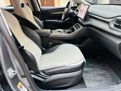 2024 BYD Destroyer 05 DM-i PHEV 55km Luxury — фото 11