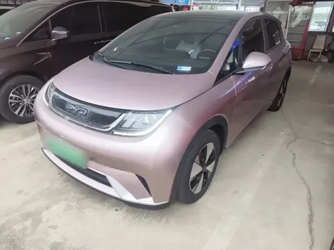 2023 BYD Dolphin 420km Fashion