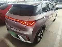 2023 BYD Dolphin 420km Fashion, чёрный — фото 7