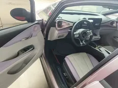 2023 BYD Dolphin 420km Fashion, чёрный — фото 16