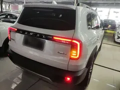 2021 Haval Dargo 1.5T DCT 2WD Border Collie, белый — фото 7