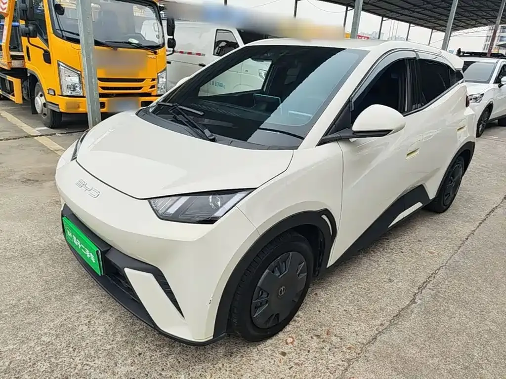 2023 BYD Seagull Vitality