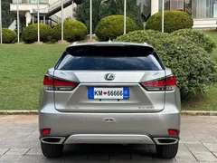 2020 Lexus RX 300 2WD Elite — фото 5