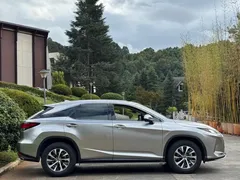 2020 Lexus RX 300 2WD Elite — фото 7