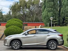2020 Lexus RX 300 2WD Elite — фото 8