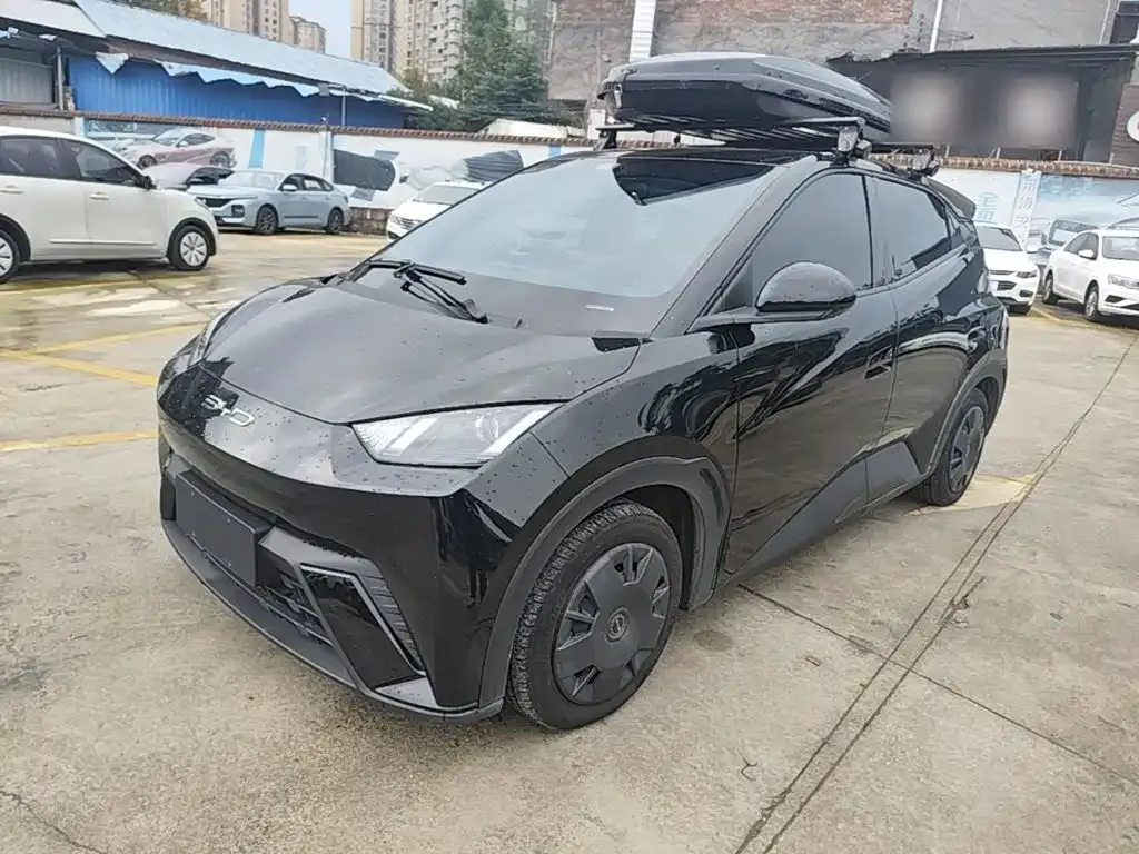 2023 BYD Seagull Vitality