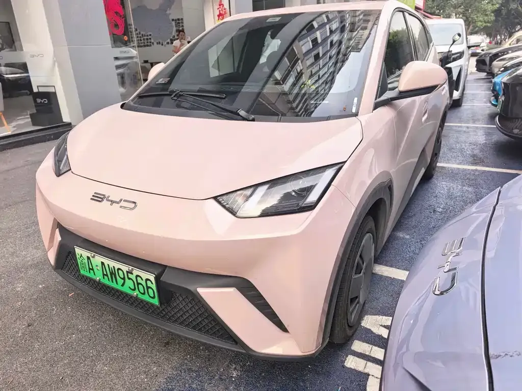2023 BYD Seagull Vitality