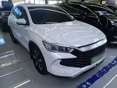 2024 BYD Song Pro Glory Edition DM-i PHEV 110km, белый — фото 4