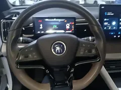 2024 BYD Song Pro Glory Edition DM-i PHEV 110km, белый — фото 11