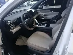 2024 BYD Song Pro Glory Edition DM-i PHEV 110km, белый — фото 15