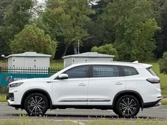 2022 Chery Tiggo 8 Pro 290TGDI DCT, белый — фото 4