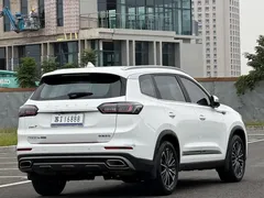 2022 Chery Tiggo 8 Pro 290TGDI DCT, белый — фото 7