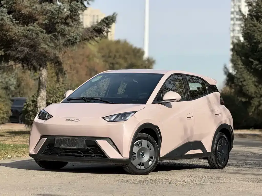 2024 BYD Seagull Honor 305km Vitality