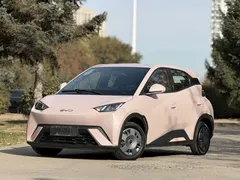2024 BYD Seagull Honor 305km Vitality — фото 1