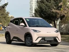 2024 BYD Seagull Honor 305km Vitality — фото 3