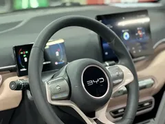 2024 BYD Seagull Honor 305km Vitality — фото 23