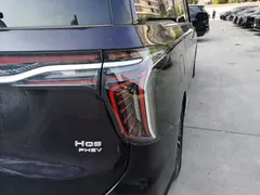 2024 Hongqi HQ9 2.0T PHEV 4WD Business — фото 8