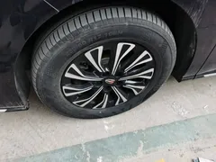 2024 Hongqi HQ9 2.0T PHEV 4WD Business — фото 23