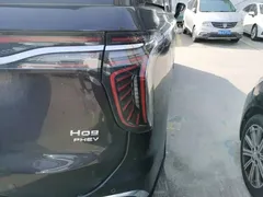 2024 Hongqi HQ9 2.0T PHEV 4WD Business — фото 8