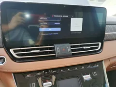 2024 Hongqi HQ9 2.0T PHEV 4WD Business — фото 13