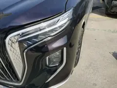 2024 Hongqi HQ9 2.0T PHEV 4WD Business — фото 24