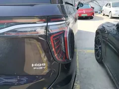 2024 Hongqi HQ9 2.0T PHEV 4WD Business — фото 8