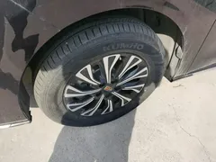 2024 Hongqi HQ9 2.0T PHEV 4WD Business — фото 23