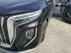 2024 Hongqi HQ9 2.0T PHEV 4WD Business — фото 24