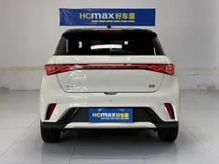 2024 BYD Dolphin Honor 420km Fashion — фото 5