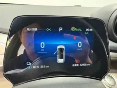 2024 BYD Dolphin Honor 420km Fashion — фото 10