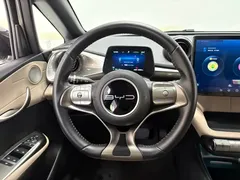 2024 BYD Dolphin Honor 420km Fashion — фото 13