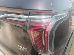 2024 Hongqi HQ9 2.0T PHEV 4WD Business — фото 8