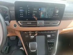 2024 Hongqi HQ9 2.0T PHEV 4WD Business — фото 13