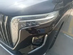 2024 Hongqi HQ9 2.0T PHEV 4WD Business — фото 24