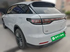 2023 Leapmotor C11 EREV 300 Comfort — фото 4