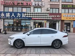 2023 BYD Qin PLUS EV 510km, белый — фото 7