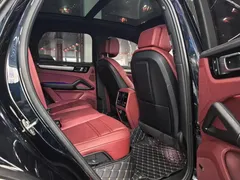 2023 Porsche Cayenne E-Hybrid 2.0T PHEV Platinum, синий — фото 22
