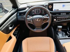 2023 Lexus ES 260 Excellence, белый — фото 18