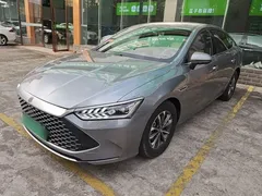 2023 BYD Qin PLUS Champion DM-i PHEV 55KM Leading — фото 2