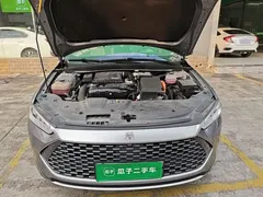 2023 BYD Qin PLUS Champion DM-i PHEV 55KM Leading — фото 20