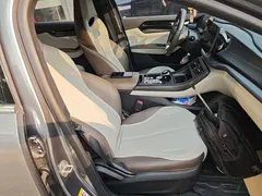 2023 BYD Qin PLUS Champion DM-i PHEV 55KM Leading — фото 25