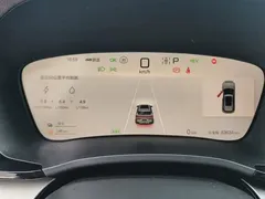 2025 BYD Song PLUS DM-i 112KM PHEV Premium, белый — фото 14