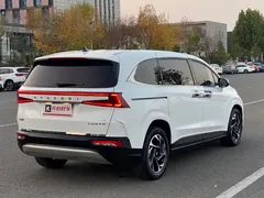2021 Hyundai Custo 380TGDi LUX Premium, белый — фото 11